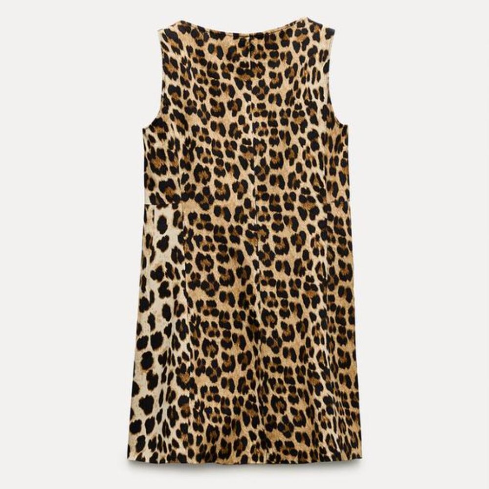 Zara Leopard Print Mini Dress